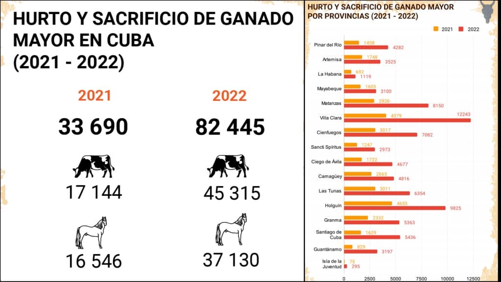 Campesinos cubanos se quejan de robos, hurtos y sacrificio de ganado ¡y no pasa nada!