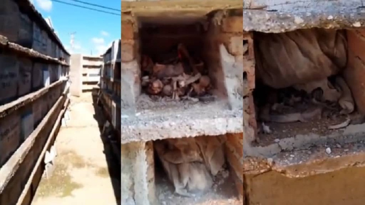 Denuncian deplorables condiciones de un cementerio en Camagüey (+VIDEO)