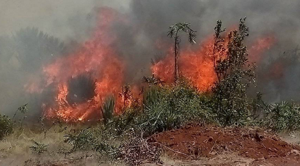 Se desata un nuevo incendio en Moa
