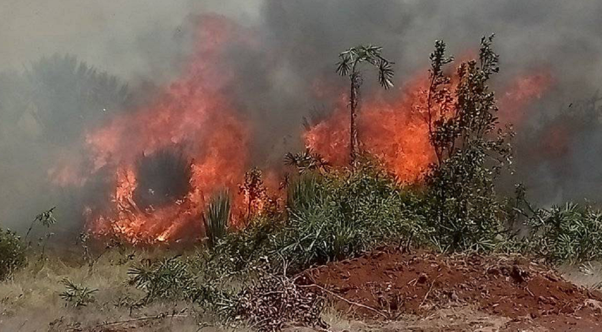 Se desata un nuevo incendio en Moa