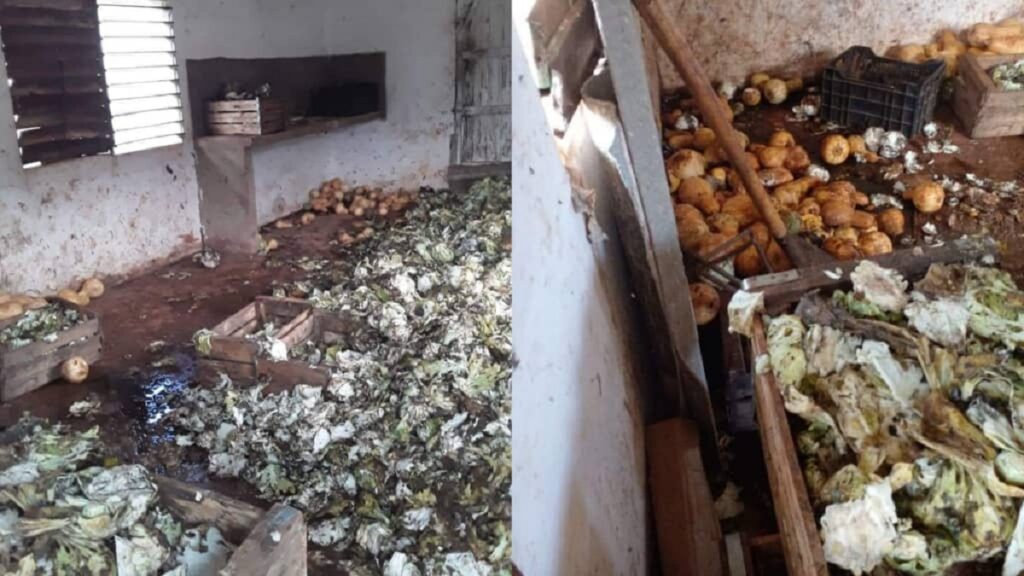 Multan a dirigente de Acopio por dejar perder varios quintales de alimentos