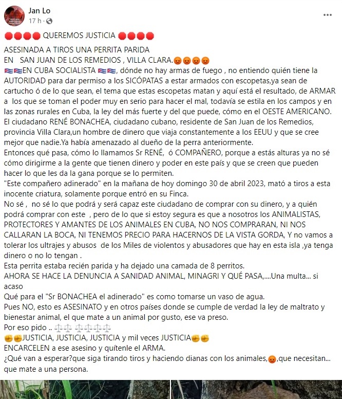 A través de las redes sociales se denunció un nuevo caso de maltrato animal en Cuba, en esta ocasión cuando se dio a conocer que una perra habría sido asesinada a tiros en el municipio San Juan de Los Remedios, en la provincia de Villa Clara.