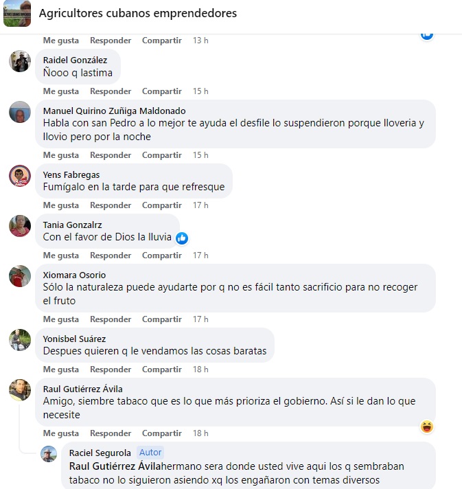 Un campesino cubano lamentó la pérdida de su cosecha por la escasez de combustible que azota a la isla comunista.