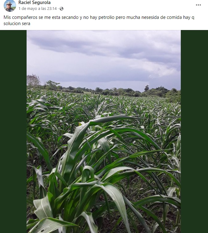 Un campesino cubano lamentó la pérdida de su cosecha por la escasez de combustible que azota a la isla comunista.