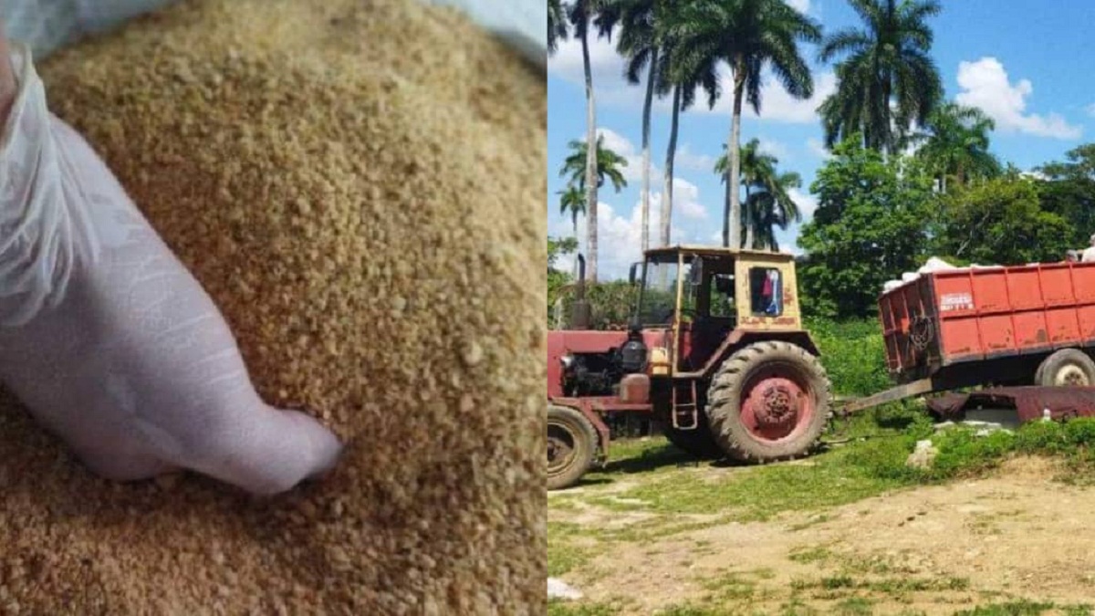 Detienen en Santa Clara a dos cubanos por acaparar pienso para luego revenderlo