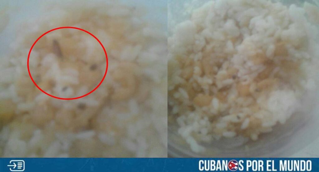 Arroz con bichos, el almuerzo y comida en Hospital Pediátrico Pedro Agustín Pérez de Guantánamo