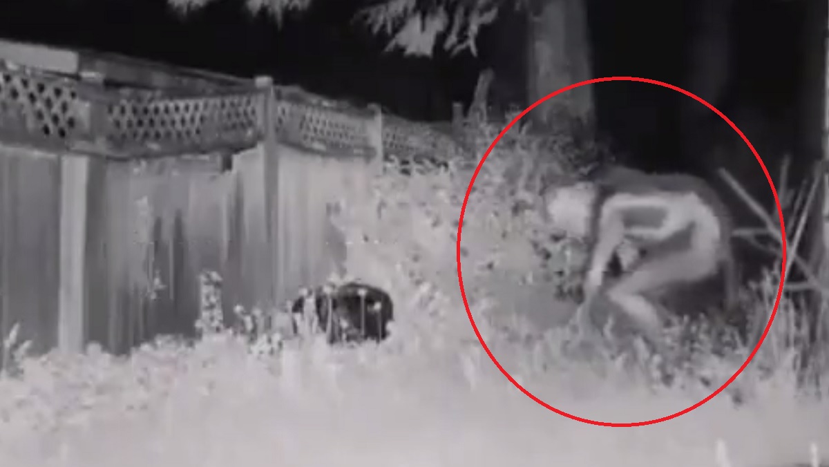 Policía de Las Vegas responde a un informe de "criatura de 3 metros" (+VIDEO)