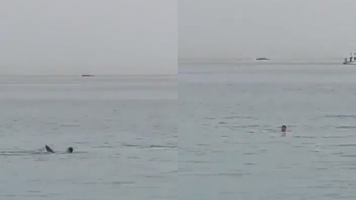 Captan el aterrador momento en el que un hombre fue devorado por un tiburón en Egipto (+VIDEO FUERTE)