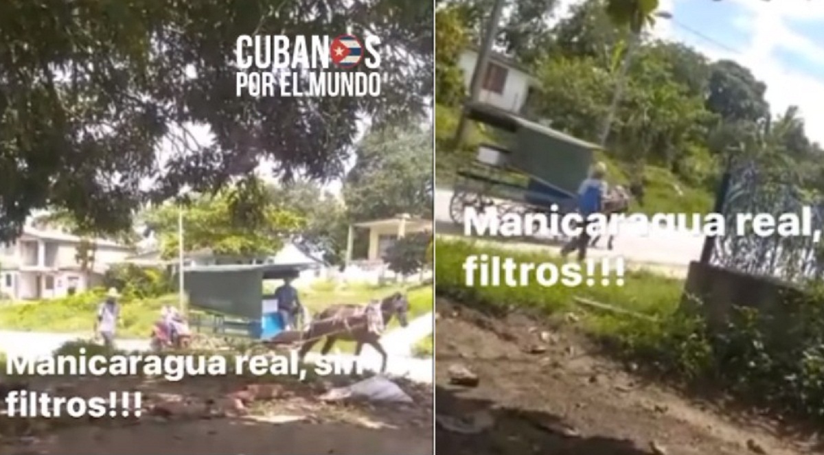En miseria hasta después de morir: Trasladan féretro en carreta de caballos en Cuba (+VIDEO)