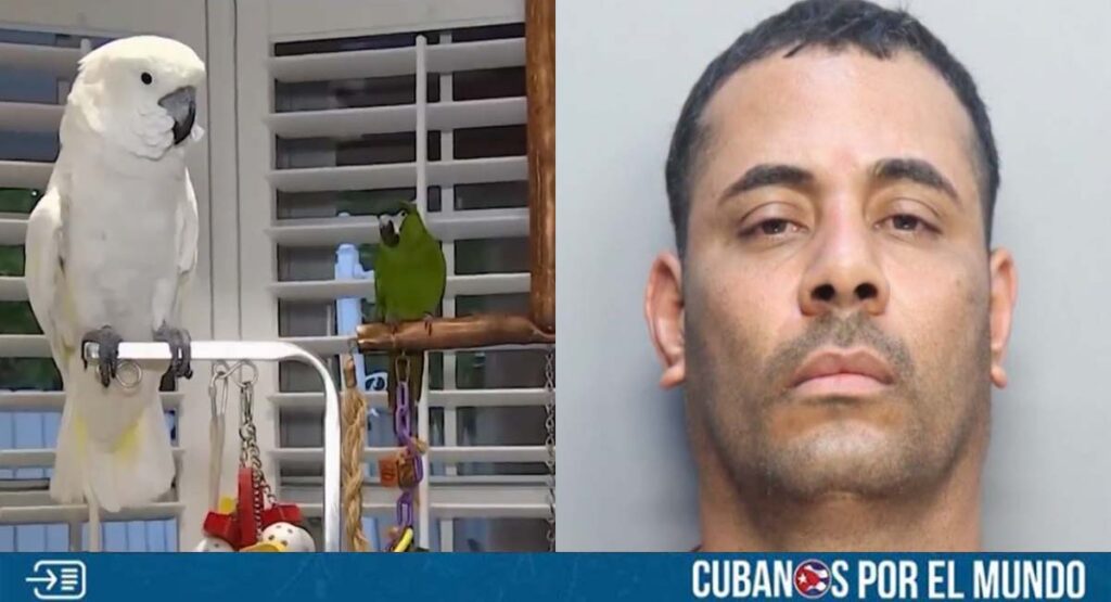 Arrestado cubano por robo de aves exóticas en Miami