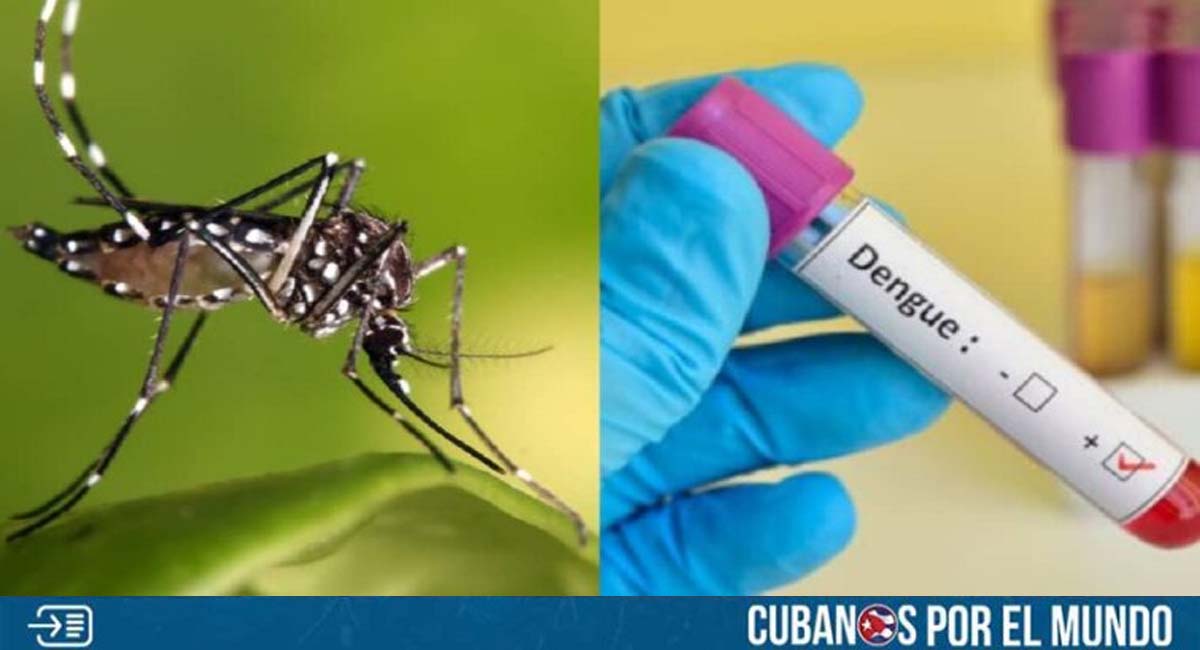 El dengue se extiende por Ciego de Ávila, reconoce prensa oficialista