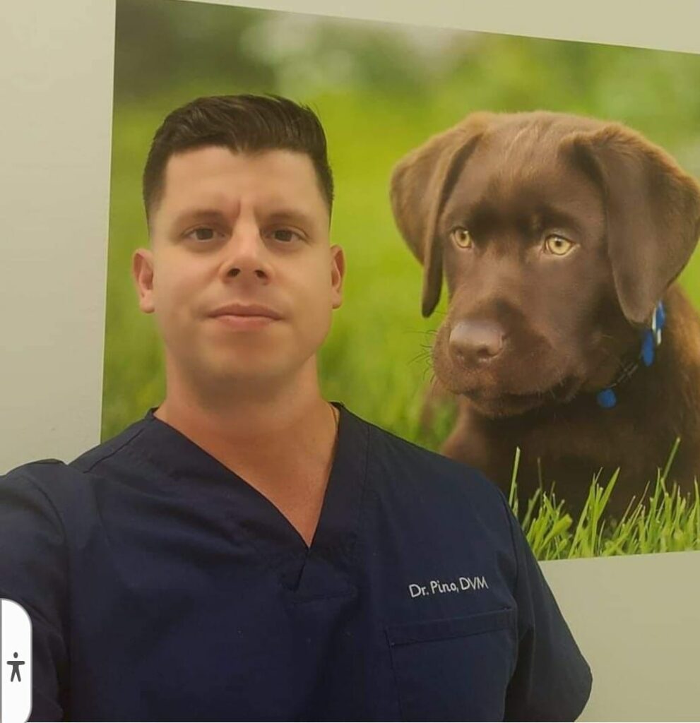 Los hijos del funcionario castrista Rafael Pino Bécquer, embajador de Cuba en Eslovaquia, estarían aparentemente viviendo en Estados Unidos, según una denuncia que llegó a la redacción de Cubanos por el Mundo.