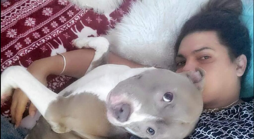 Pitbull ataca a trans cubana en La Habana (+FOTO FUERTE)