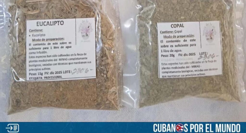 ¿Potencia médica? Padre cubano no pudo conseguir medicamentos para su hijo pese a tener el dinero
