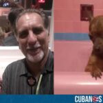 Familia del espía René González ofreció hasta 20 mil pesos para recuperar a su perro perdido