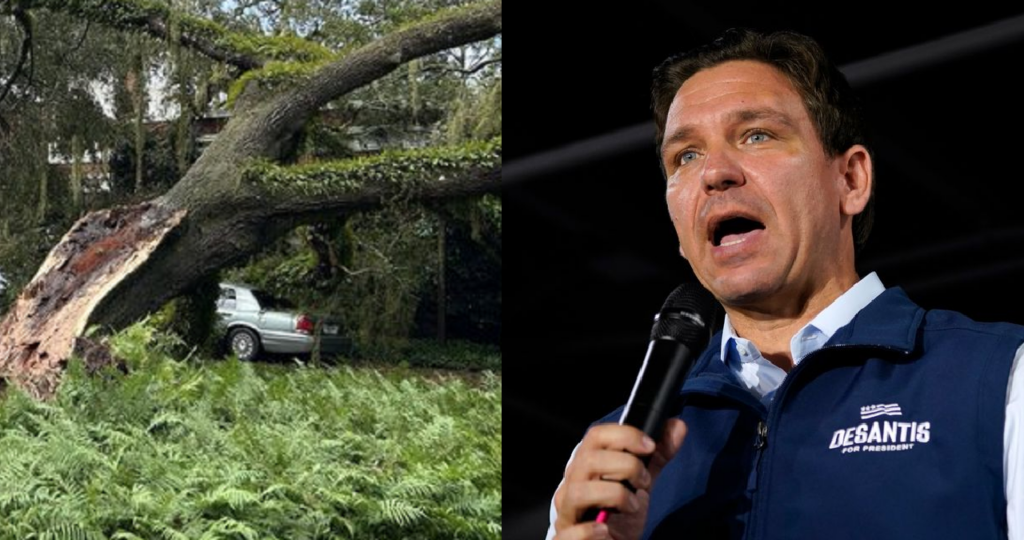 Cae un enorme árbol en la mansión del gobernador de Florida por el huracán Idalia