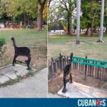 Cubanos denunciaron el estado ruinoso en que se encuentra el Parque de La Fraternidad Americana de La Habana. 