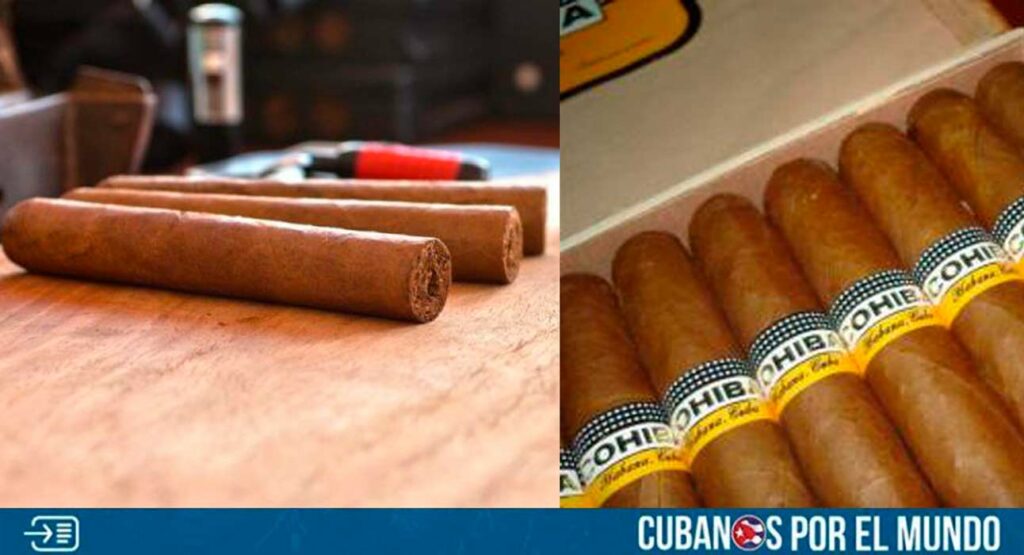 Miles de tabacos procedentes de Cuba y Panamá fueron incautados por las autoridades de la Dirección General de Aduanas del Aeropuerto Internacional Ministro Pistarini, en Ezeiza, Argentina. 