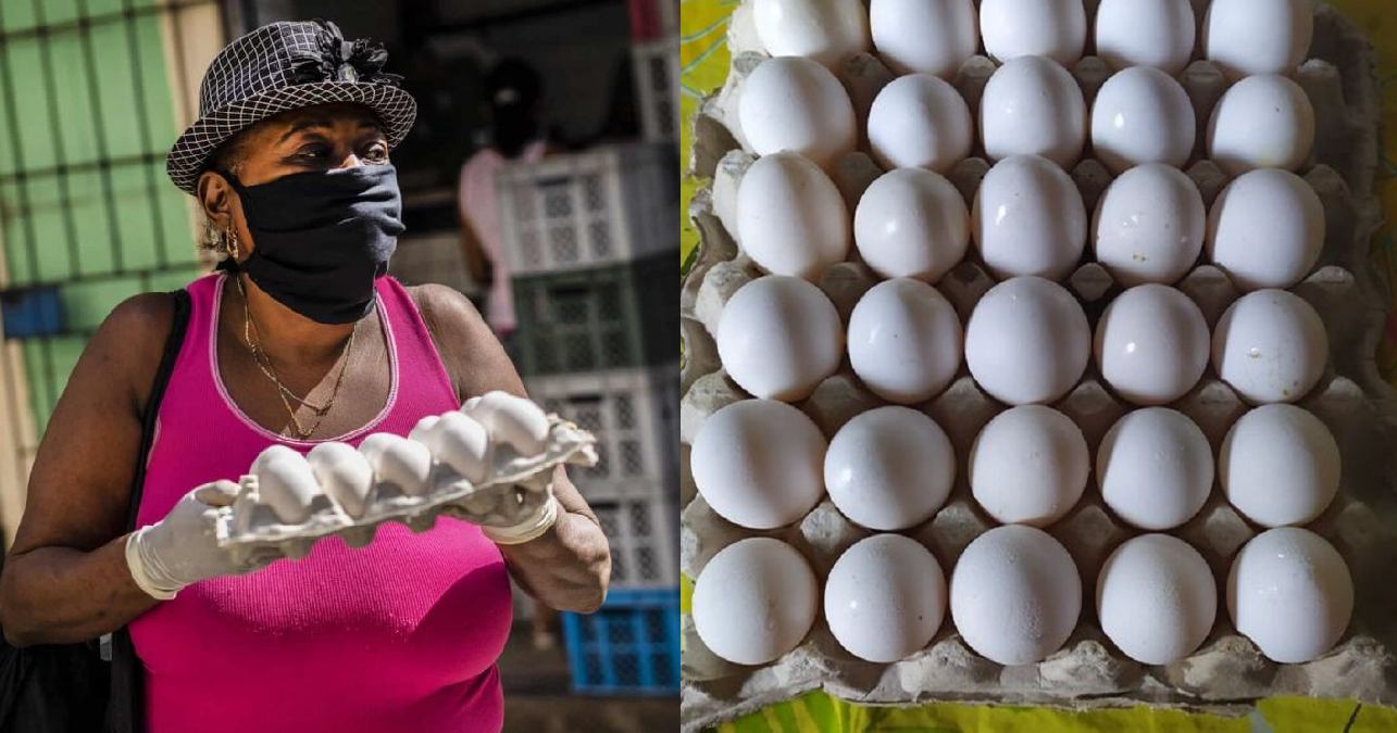 Precio de un cartón de huevo se dispara en La Habana hasta los 3000 CUP
