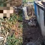 Profanación de tumbas en cementerio de Caimito en Artemisa es denunciado por los habitantes de la localidad