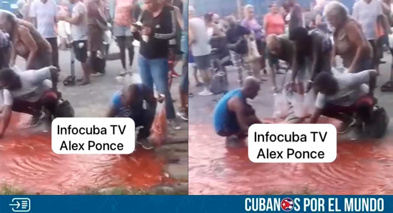 El hambre y la miseria sigue azotando a la Cuba comunista, y en esta ocasión quedó en evidencia al ver como un grupo de cubanos recoge del suelo, lo que parece ser puré de tomate en una feria de alimentos en La Habana.