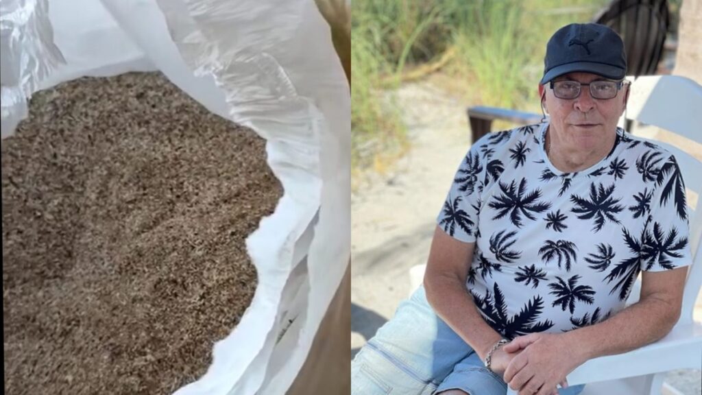 Estafan a conocido director artístico cubano, con una azúcar falsa