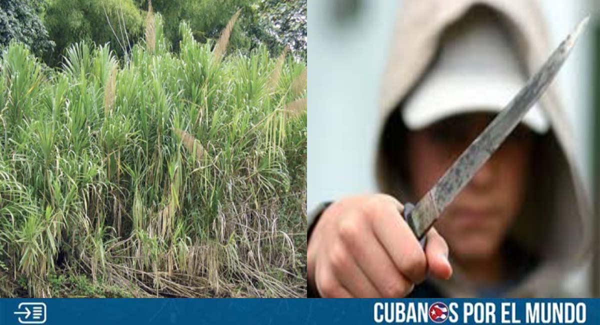 Holguín: Denuncian un refugio de delincuentes y las autoridades del régimen no hacen nada