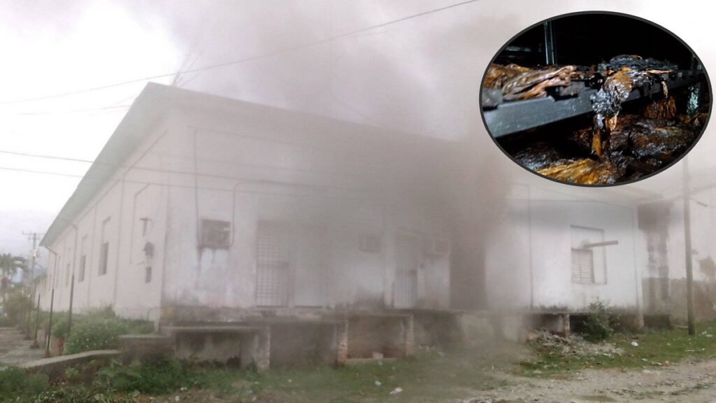 Reportan incendio en escogida de tabaco de Manicaragua