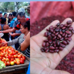 Tomate y frijoles: las mayores víctimas del subidón de precios producto de la inflación en Cuba