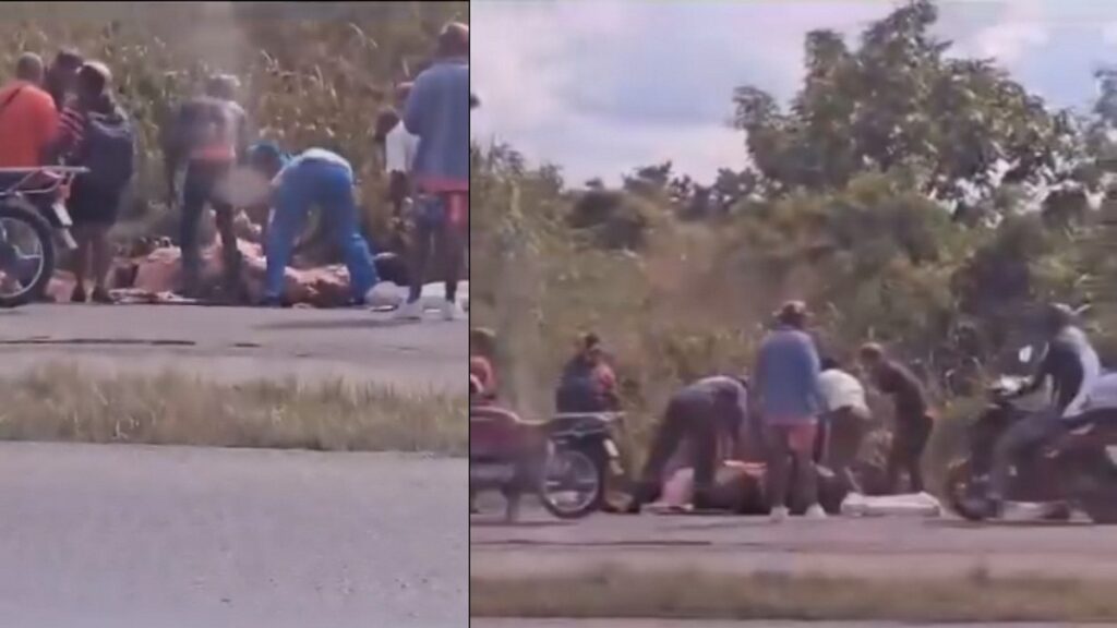 Cubanos descuartizan vaca en plena vía pública en Matanzas (+VIDEO)