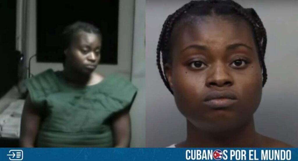 DANTESCO: Mujer asesinó brutalmente a su perro en Miami
