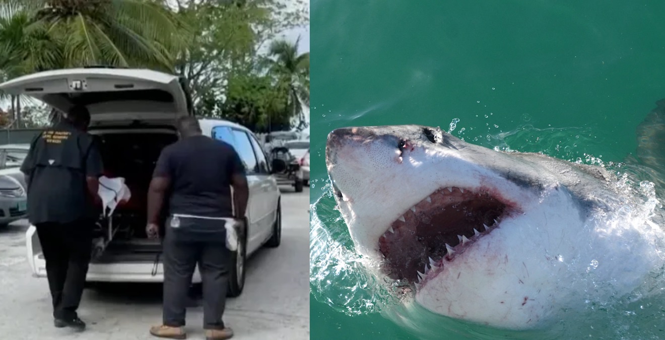 Tiburón mata a una mujer que estaba disfrutando de su luna de miel