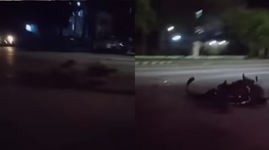 La Habana: Moto queda destrozada al chocar con un auto