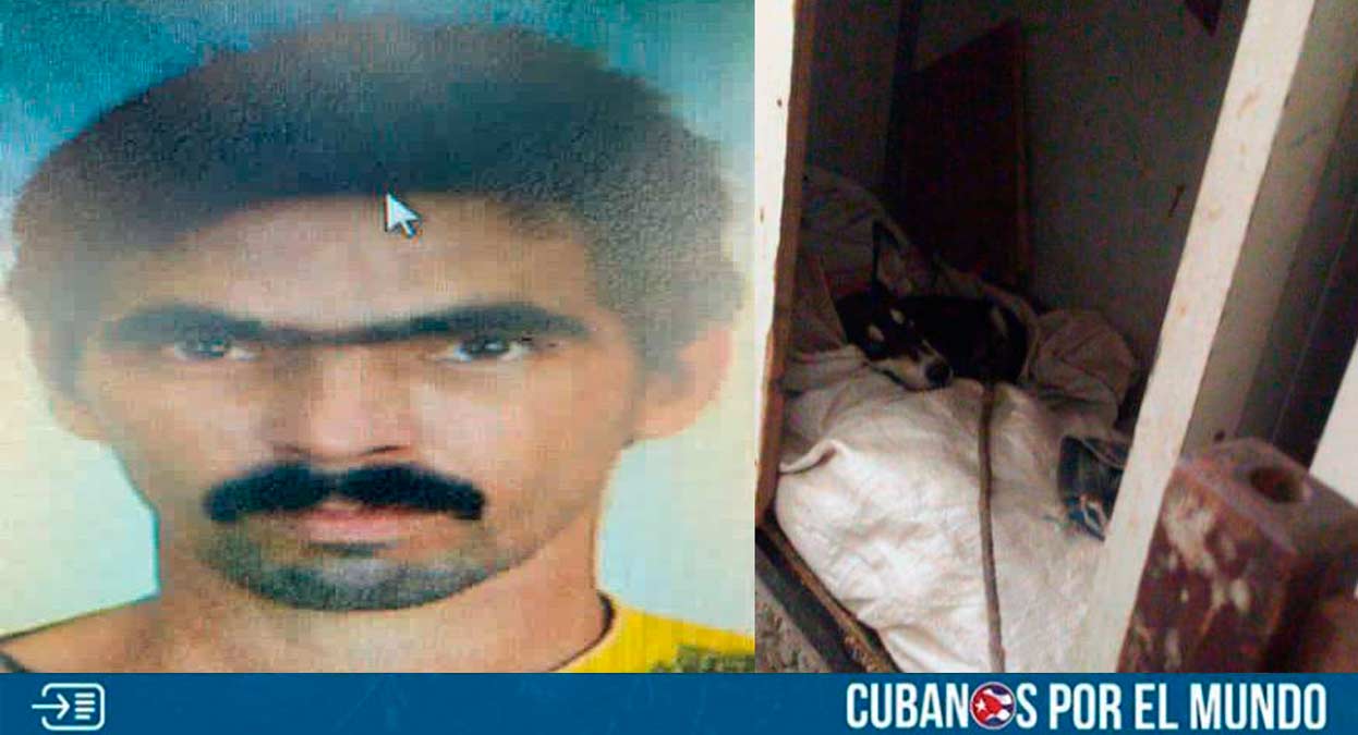 Un cubano que fue condenado por actos de zoofilia en 2022 fue liberado y luego volvió a incurrir en el mismo delito.