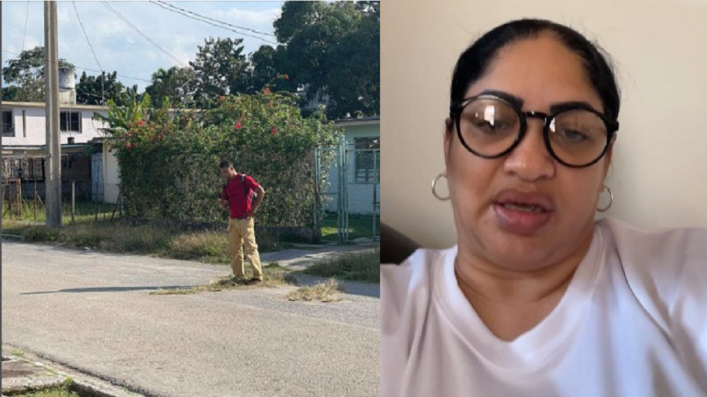 Seguridad del Estado le pone vigilancia permanente a activista Lara Crofs