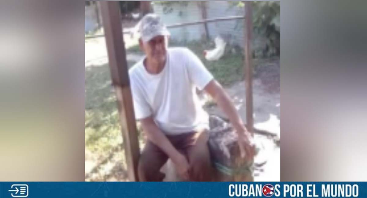 Pelea por un perro en Matanzas termina con un anciano cubano asesinado