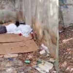 Adolescente cubano vive en situación de calle en La Habana (+VIDEO)