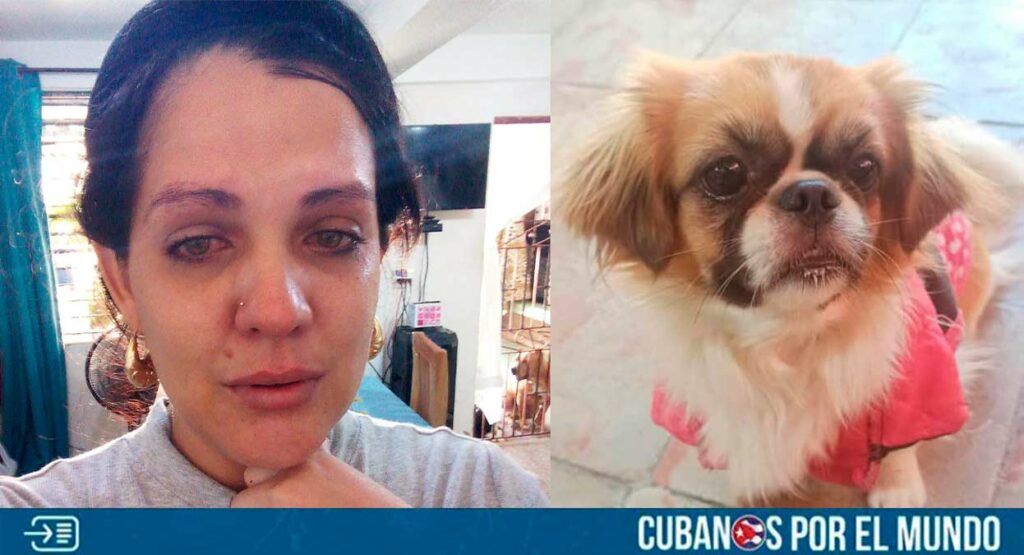 Una cubana recurrió a las redes sociales para pedir ayuda para recuperar a su mascota perdida en la ciudad de Santiago de Cuba.
