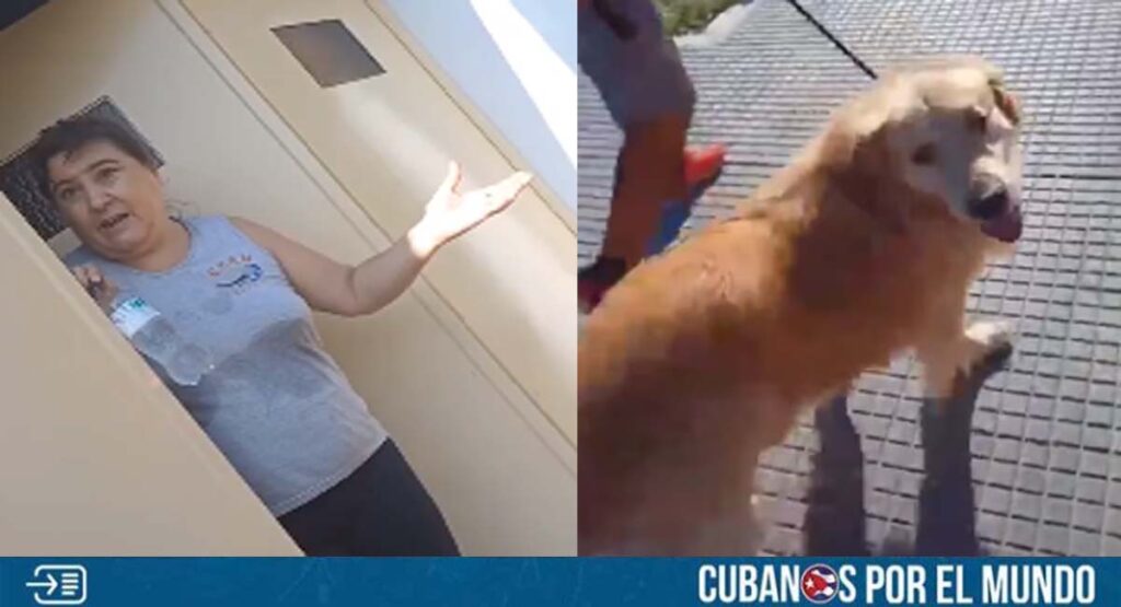 Dantesco: Mujer en Argentina pretendía sacrificar a su perro en una carnicería