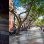 Niño le roba la bicicleta a otro en el habanero Paseo del Prado tras pedirle "una vueltecita"