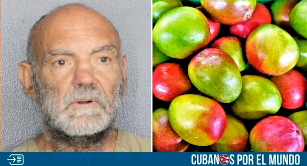 La Oficina del Sheriff de Broward al sur de Florida, informó sobre el caso de un hombre que agredió a su vecino porque “pensaba que era gay”.