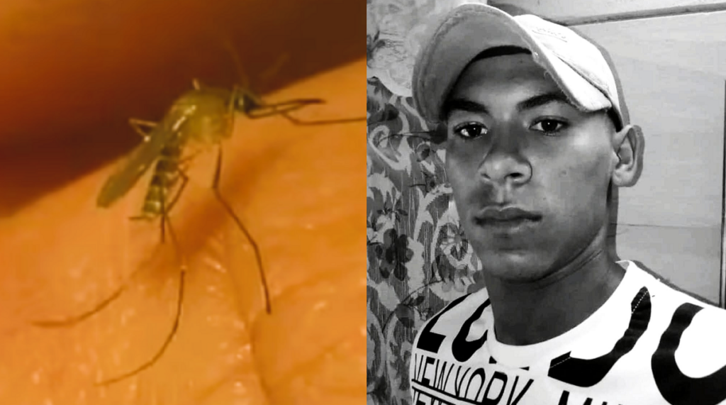 Santiago de Cuba: Muere estudiante que llegó al hospital con síntomas de Oropouche