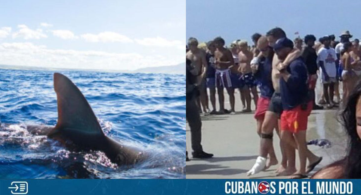 Tiburón atacó a un joven turista en playa de Florida
