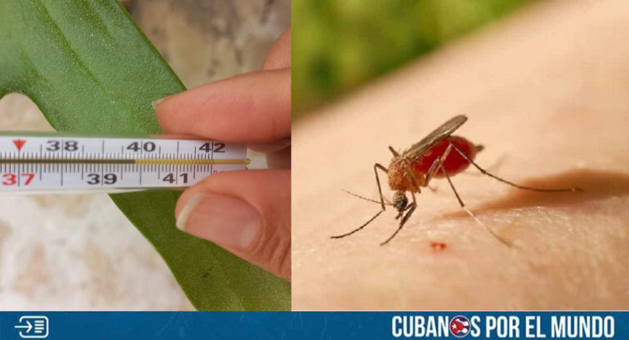 El Virus de Oropouche llegó a la provincia de Las Tunas después de que se confirmaron al menos dos casos de la enfermedad en el municipio de Colombia.