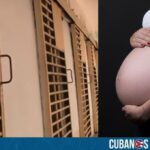 Yanet Pérez Quevedo, presa política que actualmente está embarazada, denunció a través de una llamada telefónica la precariedad en la que se encuentra recluida en la cárcel Kilo 5, en Camagüey. Sin embargo, no es la única que está en esa situación, afirmó el Centro de Documentación de Prisiones cubanas. 
