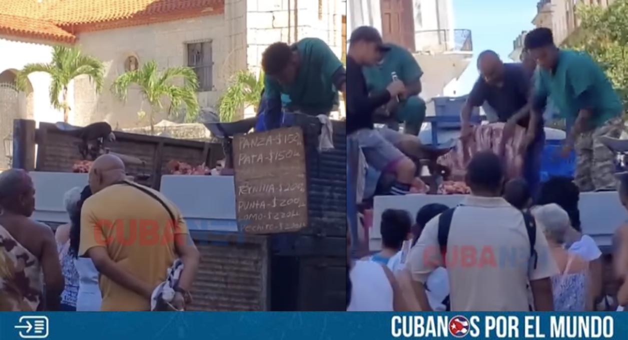 La miseria en Cuba parece no tener límites, y recientemente quedó nuevamente en evidencia al captarse la venta de huesos de vaca en una feria agropecuaria en La Habana Vieja.