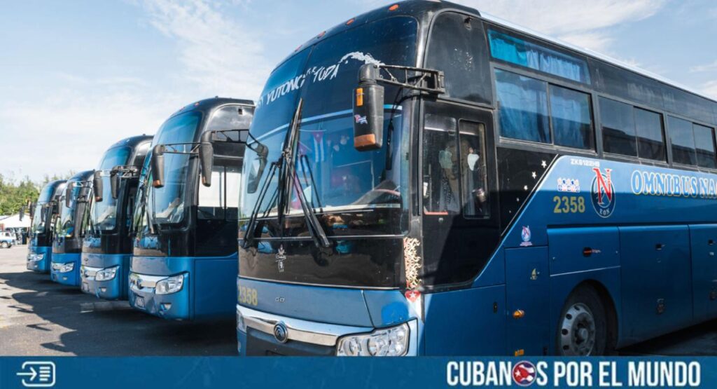La empresa Ómnibus Nacionales, registró un descenso en sus transportaciones en el cierre del primer semestre del presente año, ya que transportó 727 mil 680 pasajeros menos que el periodo anterior.