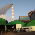 Zafra azúcar en Cuba 2024-2025: solo 15 centrales molerán