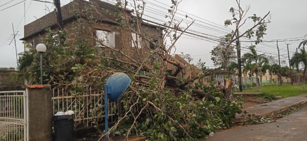 Cubanos en Artemisa dicen: "Vamos a ver cómo sobrevivimos"