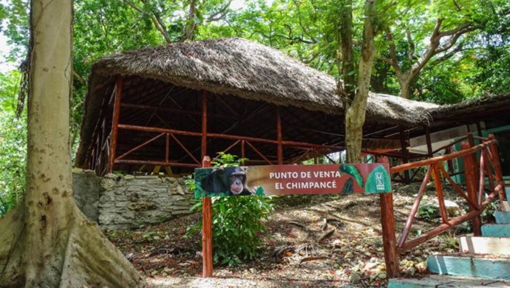 Vuelven a denunciar la desnutrición en animales del Zoológico de La Habana